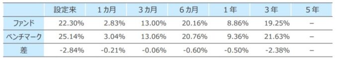 SBI・全世界株式インデックス・ファンド(雪だるま)