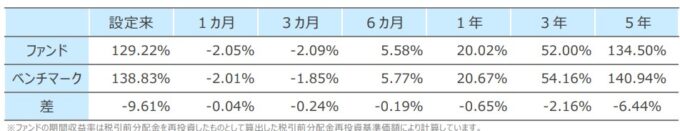 SBI・全世界株式インデックス・ファンド(雪だるま)のベンチマークとの乖離