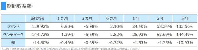 SBI・先進国株式インデックス・ファンド[愛称：雪だるま(先進国株式)]